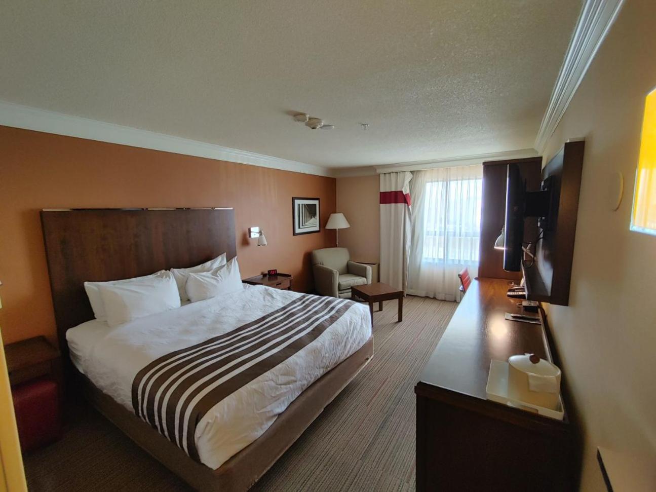 Waterloo Suites Hotel, Trademark Collection By Wyndham Esterno foto