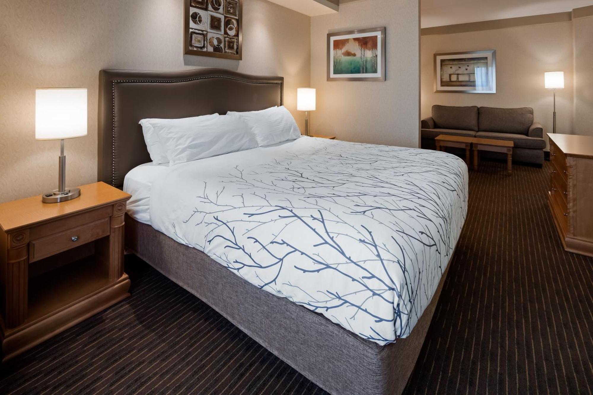 Waterloo Suites Hotel, Trademark Collection By Wyndham Esterno foto