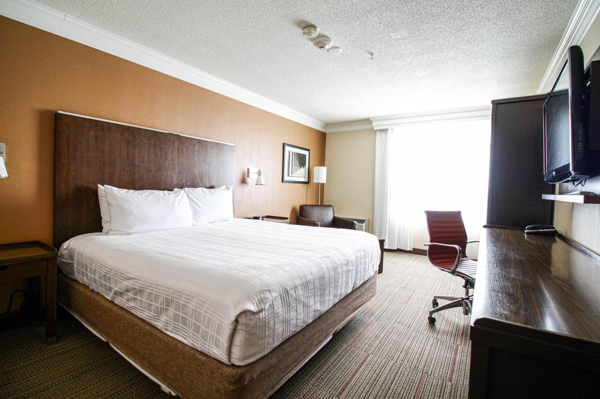 Waterloo Suites Hotel, Trademark Collection By Wyndham Esterno foto